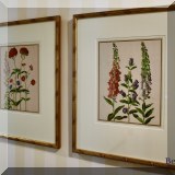 A13. Framed botanical prints. 